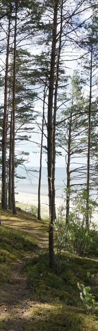 Strand in Lapmezciems